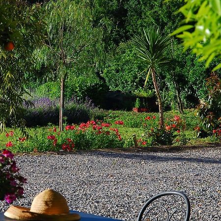 Agriturismo Coppi Rossi Torrazza  Zewnętrze zdjęcie