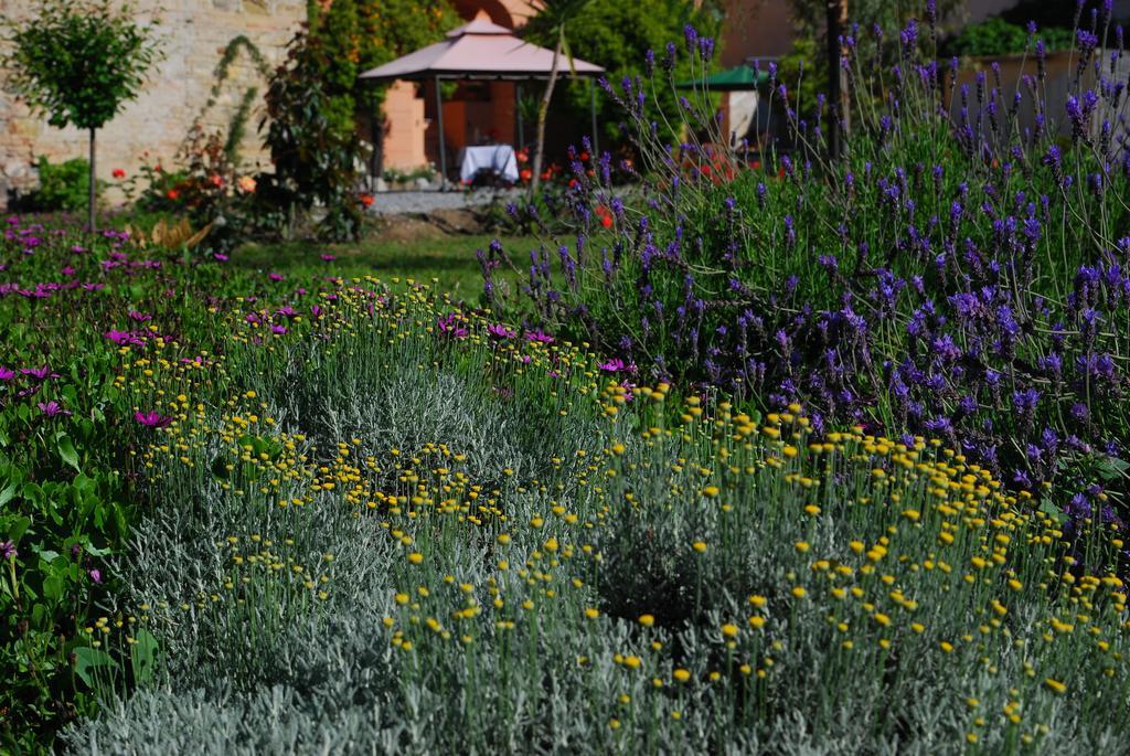 Agriturismo Coppi Rossi Torrazza  Zewnętrze zdjęcie
