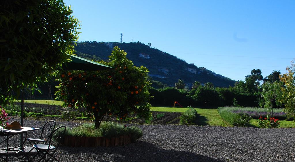 Agriturismo Coppi Rossi Torrazza  Zewnętrze zdjęcie